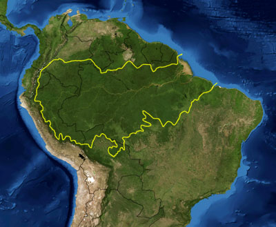 La regione amazzonica